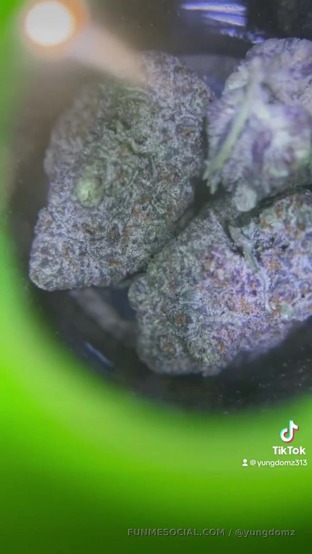 Pulled up on the Za truck 🔥🍃