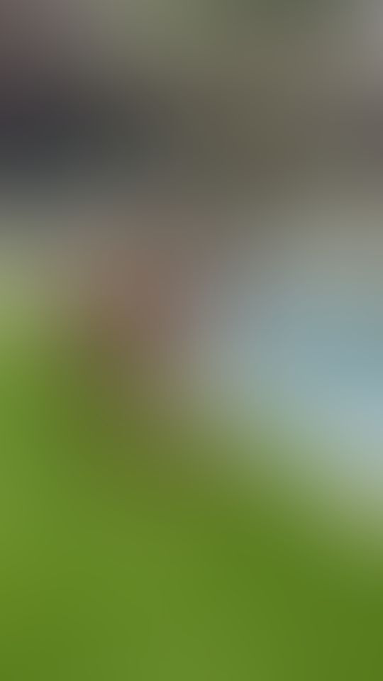 Let me swim at your house 